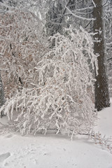 Wintereinbruch Deutschland