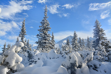 Piękna zima w górach, Polska