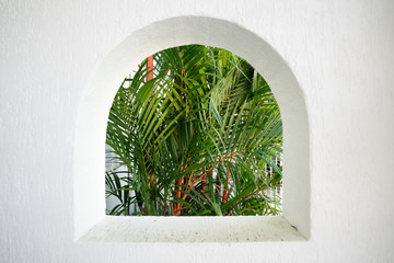 Open Window looking out to lush plants