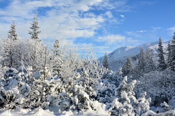 Fototapeta na wymiar Piękna zima w górach, Polska