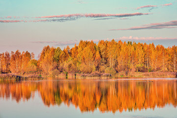 Autumn birch trees by the lake at sunset time.