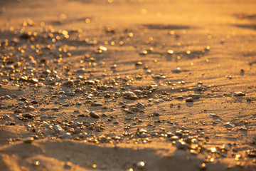 sunset reflection on beach for a back front. Small depth of focus
