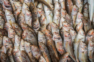 Dislay of a fishmonger.