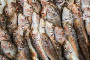 Display on a fish bazar in Istanbul.