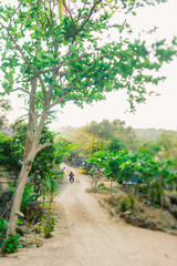 Naklejka na ściany i meble A man rides a bike on a sandy road. Dirt road in a village in Thailand. Tropical plants around. Soft sunset light
