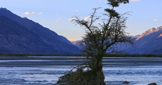 Evening view of Shyok river in Nubra Valley, Ladakh, India. Calm and peaceful nature 4K video background of wide water stream at sunset