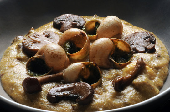 Polenta con funghi e chiocciole ft7109_8210