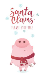 Cute pig in a winter scarf