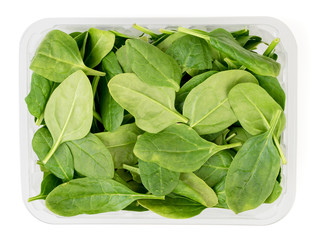 Spinach leaves in plastic box on a white. The form of the top.
