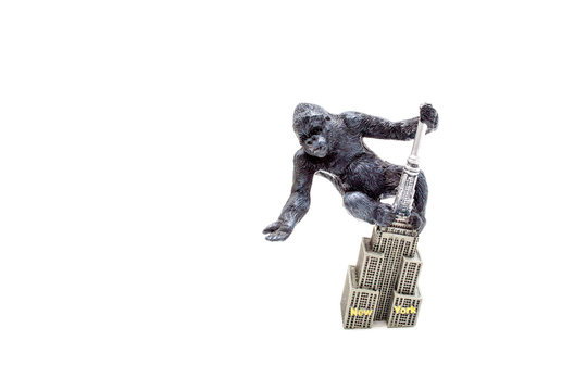 King Kong Rise of The King