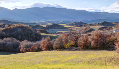 A scenic landscape with green grass grazing, bare branches trees and mountains in the Pyrenees at sunset, shot in backlight, in Bailo, Aragon, Spain