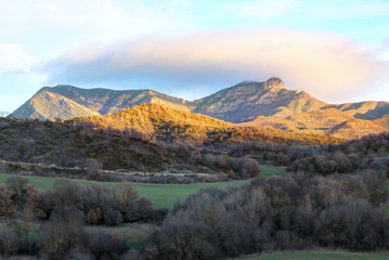 A scenic landscape with Pyrenees mountains under a pink cloud, with green grass grazing and bare trees, at sunset in winter, in Bailo, Aragon, Spain