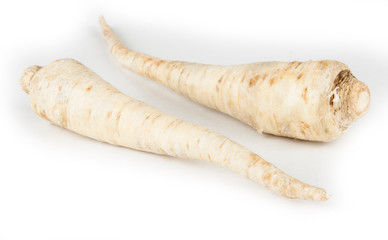 Parsley root on a white background