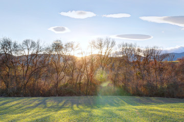 A scenic landscape with green grass grazing, bare branches trees and mountains in the Pyrenees at sunset, shot in backlight, in Bailo, Aragon, Spain