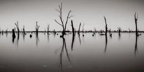 Küchenrückwand glas motiv Schwarz und weiss Foto von toten Baumstämmen, die aus dem Wasser ragen, Australien