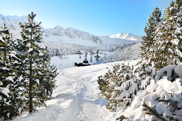 Fototapeta na wymiar piękne domki w górach w zimie