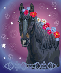 Horse portrait with flowers11