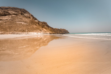 sandy coast with ocean