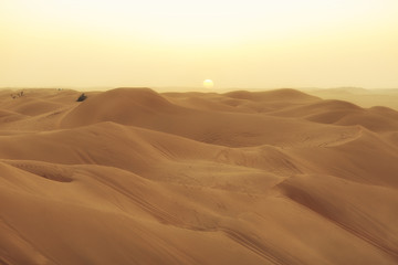 Fototapeta na wymiar sand dunes of the Quarter desert