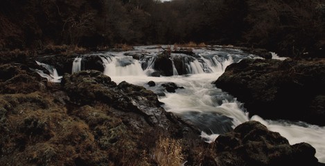 Cenarth Falls