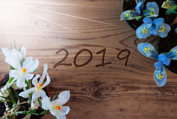 Sunny Crocus And Hyacinth, Text 2019, Wooden Background