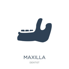 maxilla icon vector on white background, maxilla trendy filled i - obrazy, fototapety, plakaty