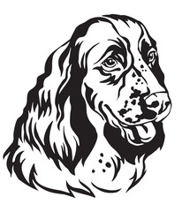 Decorative portrait of Dog English Springer Spaniel vector illustration