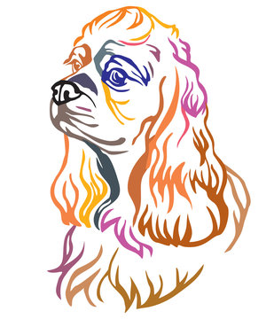 Colorful decorative portrait of Dog American Cocker Spaniel vector illustration