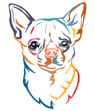 Colorful decorative portrait of Dog Chihuahua vector illustration