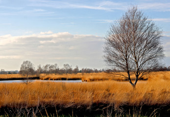 Naturschutzgebiet Hochmoor
