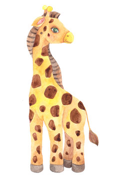 Watercolor illustration with cute giraffe