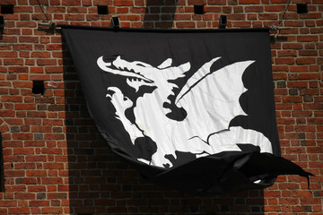 Black flag with white dragon, Czersk castle, Poland - obrazy, fototapety, plakaty