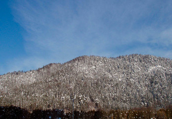 winterwald