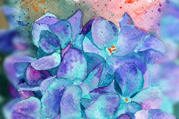 hydrangea in watercolor flowers. spring summer. background 