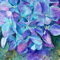 hydrangea in watercolor flowers. spring summer. background 