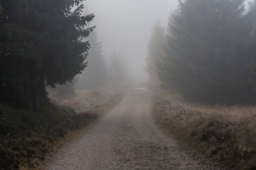 foggy landscape in the morning _Izerskie mountains