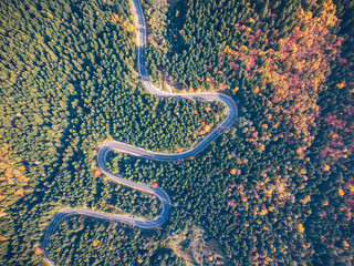 Top view of a curved road from high mountain pass, in autumn season, with orange forest. Aerial view by drone. Romania