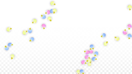 Vector Realistic Colorful Petals Falling on Transparent Background.  Spring Romantic Flowers Illustration. Flying Petals. Sakura Spa Design. Blossom Confetti. Design Elements for Wedding Decoration.