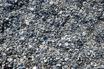Background from many small smooth pebble stones on the sea beach on sunny day top view close-up