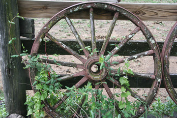 Old wagon wheels lean against a pasture fence