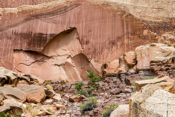 Petroglyphs in Capital Reef National Park, Utah