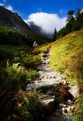Morning autumn mountain stone walkway