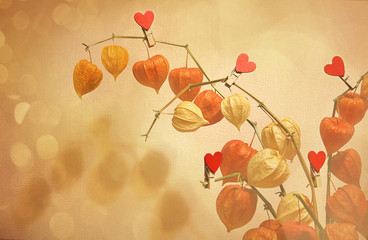 Physalis (Latin Physalis), a beautiful bouquet. Hearts on the branches. The concept of Valentine's Day, International Women's Day, Mother's Day. Toning, abstract background. Place for text.