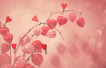 Physalis (Latin Physalis), a beautiful bouquet. Hearts on the branches. The concept of Valentine's Day, International Women's Day, Mother's Day. Toning, abstract background. Place for text.