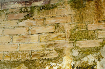 Wall restoration black and green mold basement in house brick