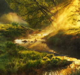 spring morning valley of the picturesque river. foggy dawn