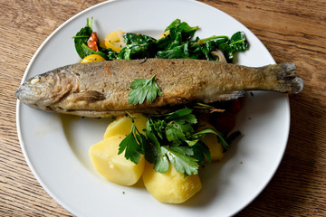 Plate of Wermsdorf rainbow trout