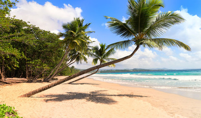 Fototapeta na wymiar The picturesque Caribbean beach , Martinique island, french Antilles.