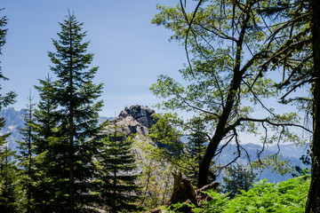 Aussicht auf Moro Rock von weitem im Sequoia Park, Kalifornien, USA