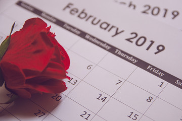 Valentines day. Red rose on Calendar page February 14 with copy space